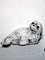 baby-seal-bead-1335491024-jpg