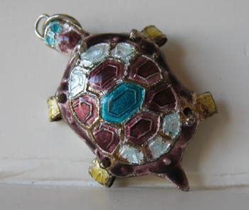 charm-turtle-913-1391371130-jpg