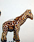 giraffe-bead-1334189677-jpg